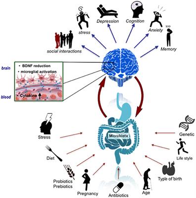 Cross Talk: The Microbiota and Neurodevelopmental Disorders